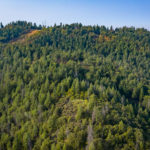 Photo 40 for American River Camp Property