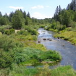 Photo 1 for Feather River Meadowlands