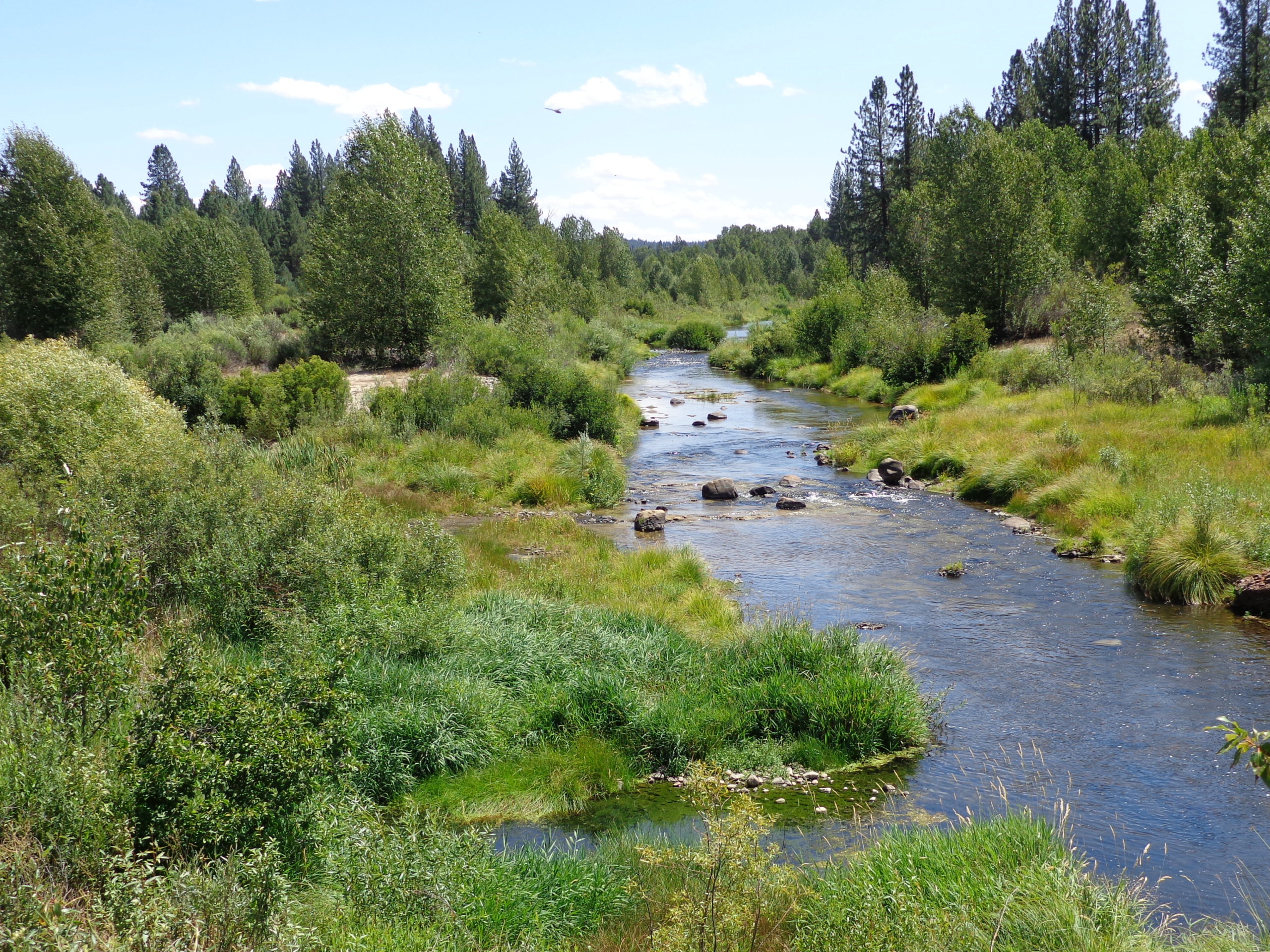 Feather River Meadowlands California Outdoor Properties