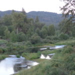 Photo 33 for Feather River Meadowlands
