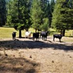 Photo 2 for Stony Ridge Ranch