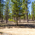Photo 1 for Culp Way Parcel A