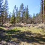 Photo 6 for Culp Way Parcel A