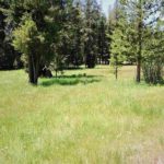 Photo 22 for Stony Ridge Ranch
