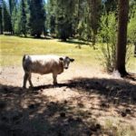 Photo 24 for Stony Ridge Ranch