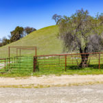Photo 20 for Paloma Creek Vineyard Ranch