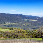 Photo 6 for Paloma Creek Vineyard Ranch
