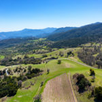 Photo 4 for Paloma Creek Vineyard Ranch