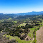 Photo 11 for Paloma Creek Vineyard Ranch