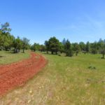 Photo 10 for Spring Meadows