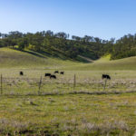 Photo 5 for Rancho los Cerritos