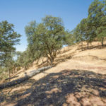 Photo 9 for Keeling Cattle Ranch