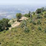 Photo 1 for Palomar Mountain 91 Acres