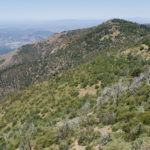 Photo 6 for Palomar Mountain 91 Acres