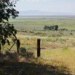Photo 3 for Stronach Ranch