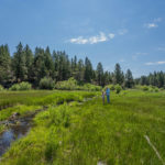 Photo 8 for Lassen Creek Ranch