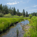 Photo 7 for Lassen Creek Ranch