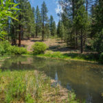 Photo 9 for Lassen Creek Ranch