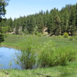 Photo 47 for Lassen Creek Ranch