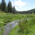 Photo 58 for Lassen Creek Ranch