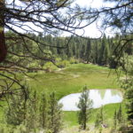 Photo 65 for Lassen Creek Ranch