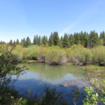 Photo 51 for Lassen Creek Ranch