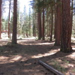 Photo 59 for Lassen Creek Ranch