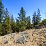 Photo 19 for Jackson View Acreage