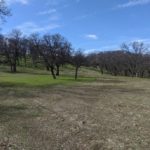 Photo 4 for 22580 Rio Robles Dr. Vacant Land