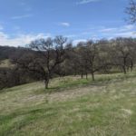 Photo 1 for 22535 Rio Robles Dr. Vacant Land