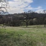 Photo 2 for 22535 Rio Robles Dr. Vacant Land