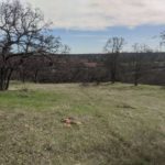 Photo 3 for 22535 Rio Robles Dr. Vacant Land