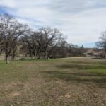 Photo 5 for 22580 Rio Robles Dr. Vacant Land