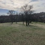 Photo 4 for 22535 Rio Robles Dr. Vacant Land