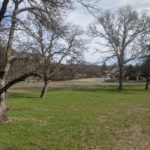 Photo 1 for 22580 Rio Robles Dr. Vacant Land