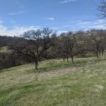 Photo 2 for 22545 Rio Robles Dr. Vacant Land