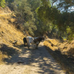 Photo 17 for Schmidt Ranch