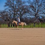 Photo 55 for Lazy JY Cottonwood Ranch