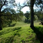 Photo 34 for Blodgett Ostman Ranch