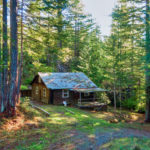 Photo 1 for Cabin in the Redwoods