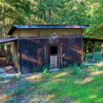 Photo 7 for Cabin in the Redwoods
