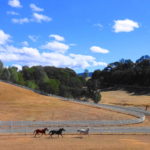 Photo 7 for Highland Springs Equestrian Center
