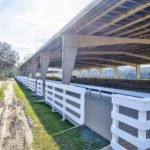 Photo 22 for Highland Springs Equestrian Center