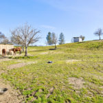 Photo 36 for Highland Springs Equestrian Center
