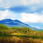 Photo 8 for Highland Springs Equestrian Center