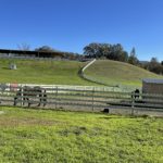 Photo 10 for Highland Springs Equestrian Center