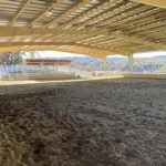 Photo 19 for Highland Springs Equestrian Center