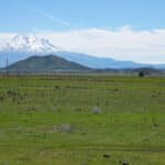 Photo 2 for Houghton Ranch