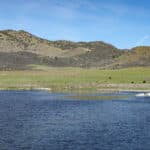 Photo 12 for Houghton Ranch