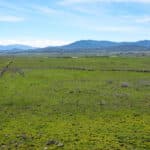 Photo 13 for Houghton Ranch